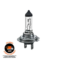 007157121=48328 Hella H7 Px26D 12V 55W - Repuestos